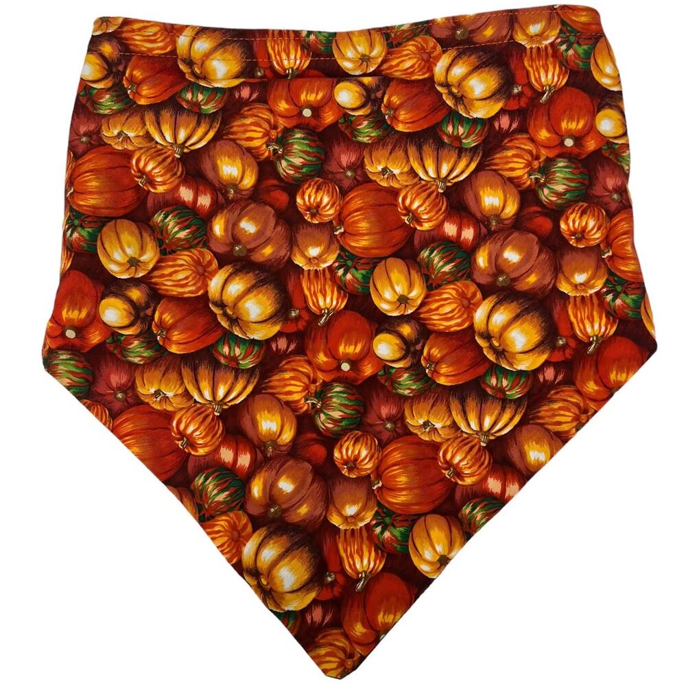 Fall Themed Pumpkin Patch Bandana with Hook & Loop Closure